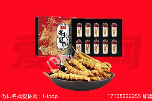 重庆开州区回收虫草.jpg